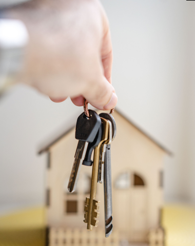 Home diseño sin título (17)